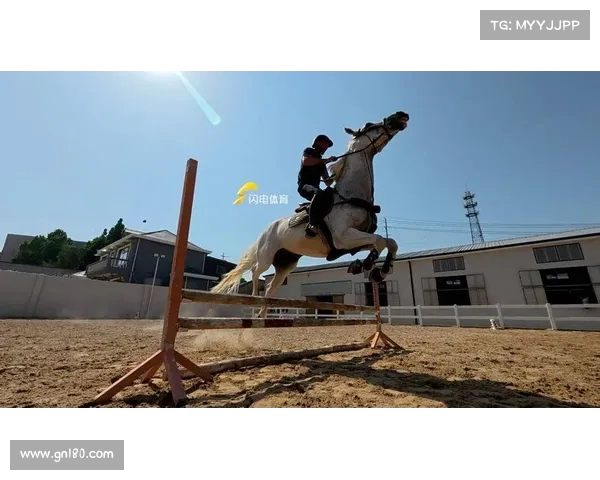 马术：探索骑乘艺术与竞技精神的完美融合与全球发展趋势