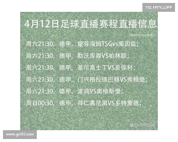 精彩德甲赛事全程直播，聚焦每场进球与战术博弈，带你走进足球盛宴
